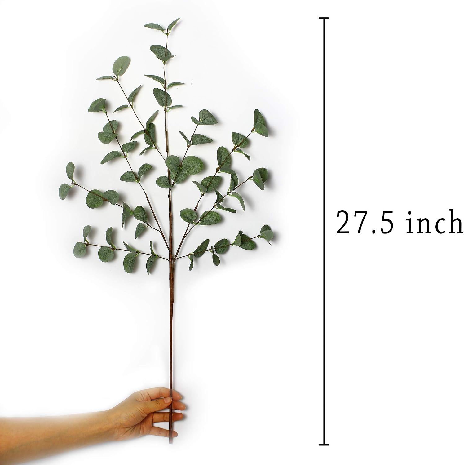 6 product image