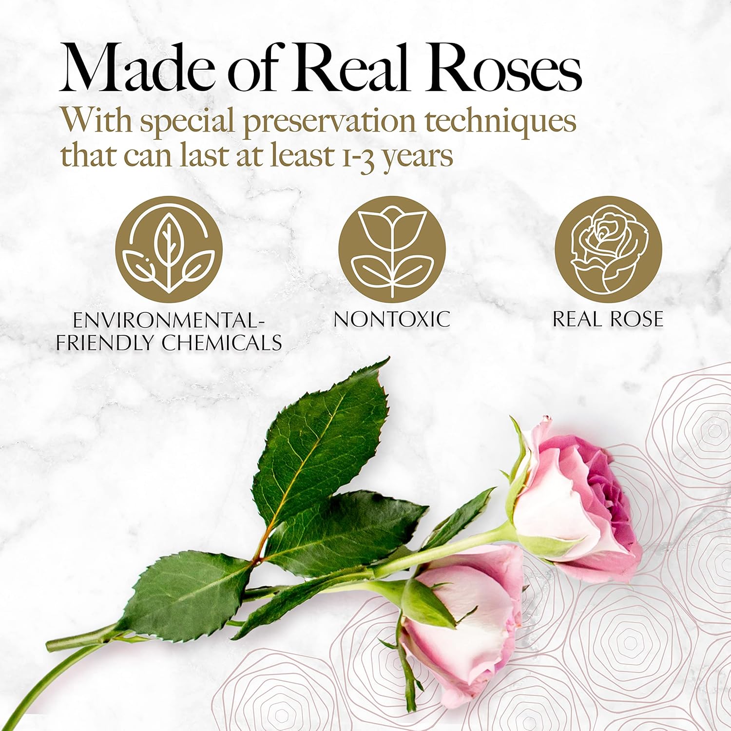 Preserved Roses in a Box: Decoding Longevity Claims and Finding the Gift That Actually Lasts
