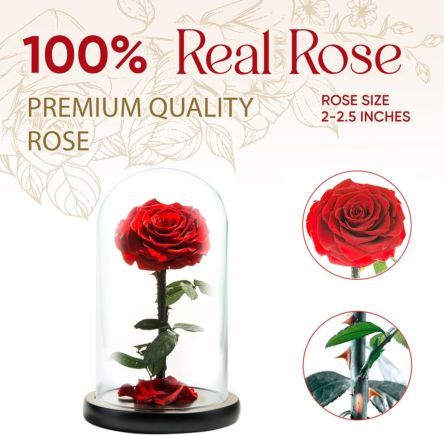 Forever Preserved Rose - Eternal Rose in Glass Dome - Beauty and the Beast Rose - Mothers Day Gifts For Mom - Fresh Flowers in Glass (Red